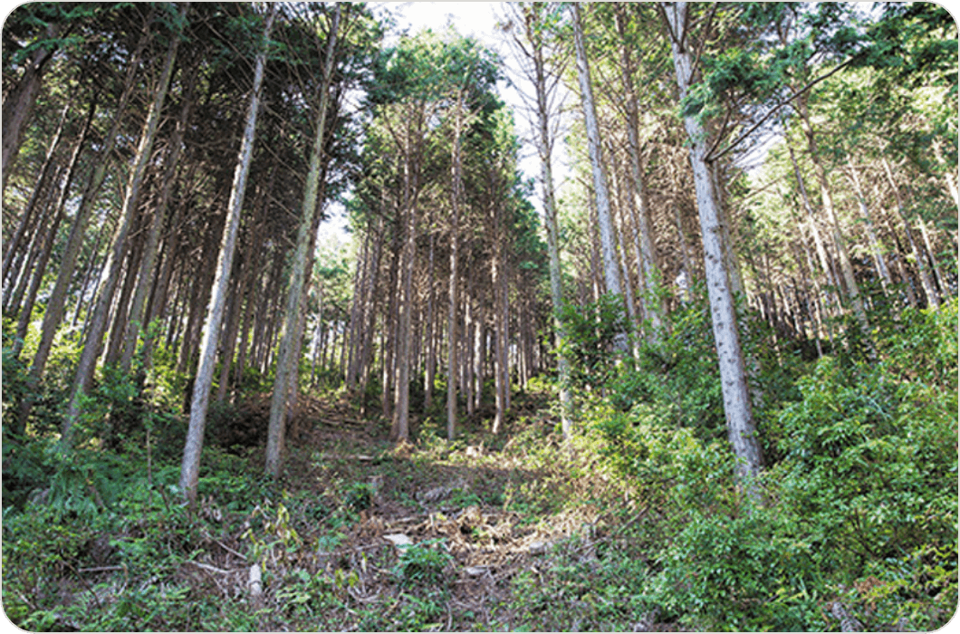 オフセットクレジット購入